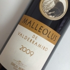 MALLEOLUS DE VALDERRAMIRO 2008 75CL